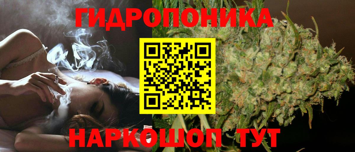 Конопля LSD WEED  Марихуана гибрид  Вход с VPN  Бошки Шишки THC 21%  Грозный 